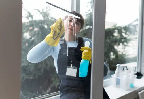 Nettoyage de vitres intérieures et extérieures à Vieilley